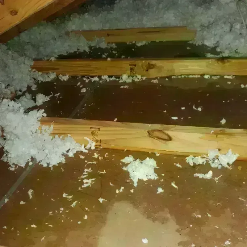 Attic Water Damage in Middletown, IN