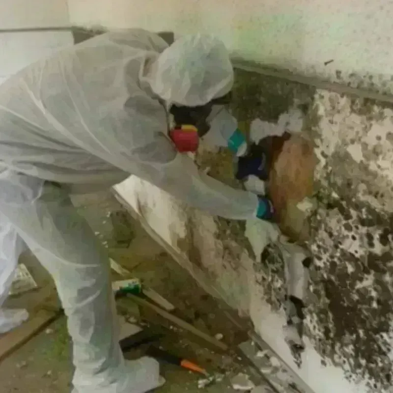 Mold Remediation and Removal in Middletown, IN